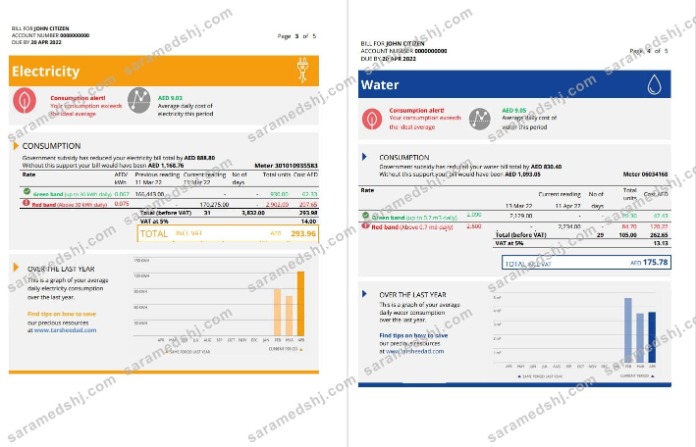 UAE Dubai Al Ain Distribution Co. Word and PDF utility bill template (5 pages) .3 4